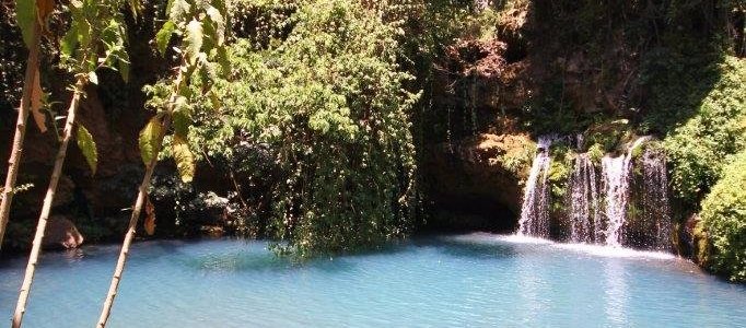 The blue pools in the Ngare Ndare forest.  The best natural swimming pools in Kenya.  And all sa