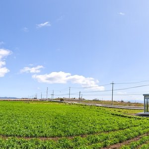 ゲストハウス外観