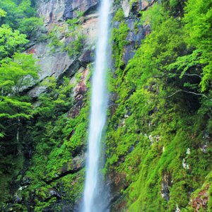 21年 植魚の滝 行く前に 見どころをチェック トリップアドバイザー