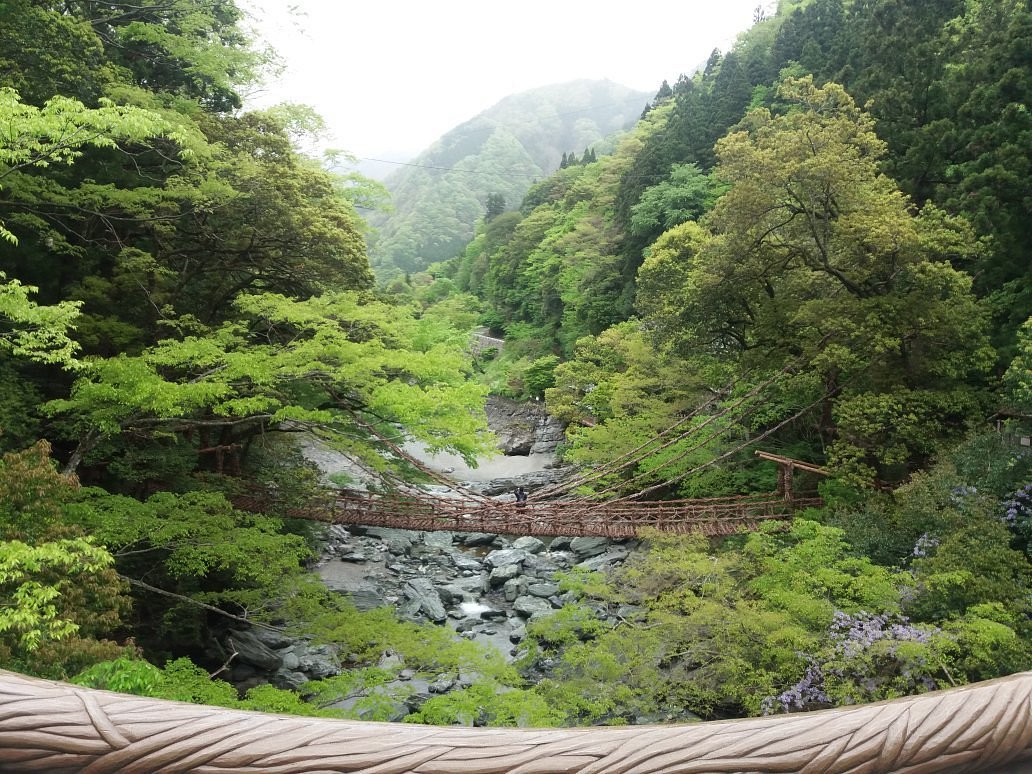 Okuiya Niju Kazurabashi Bridge 三好市 旅游景点点评 Tripadvisor