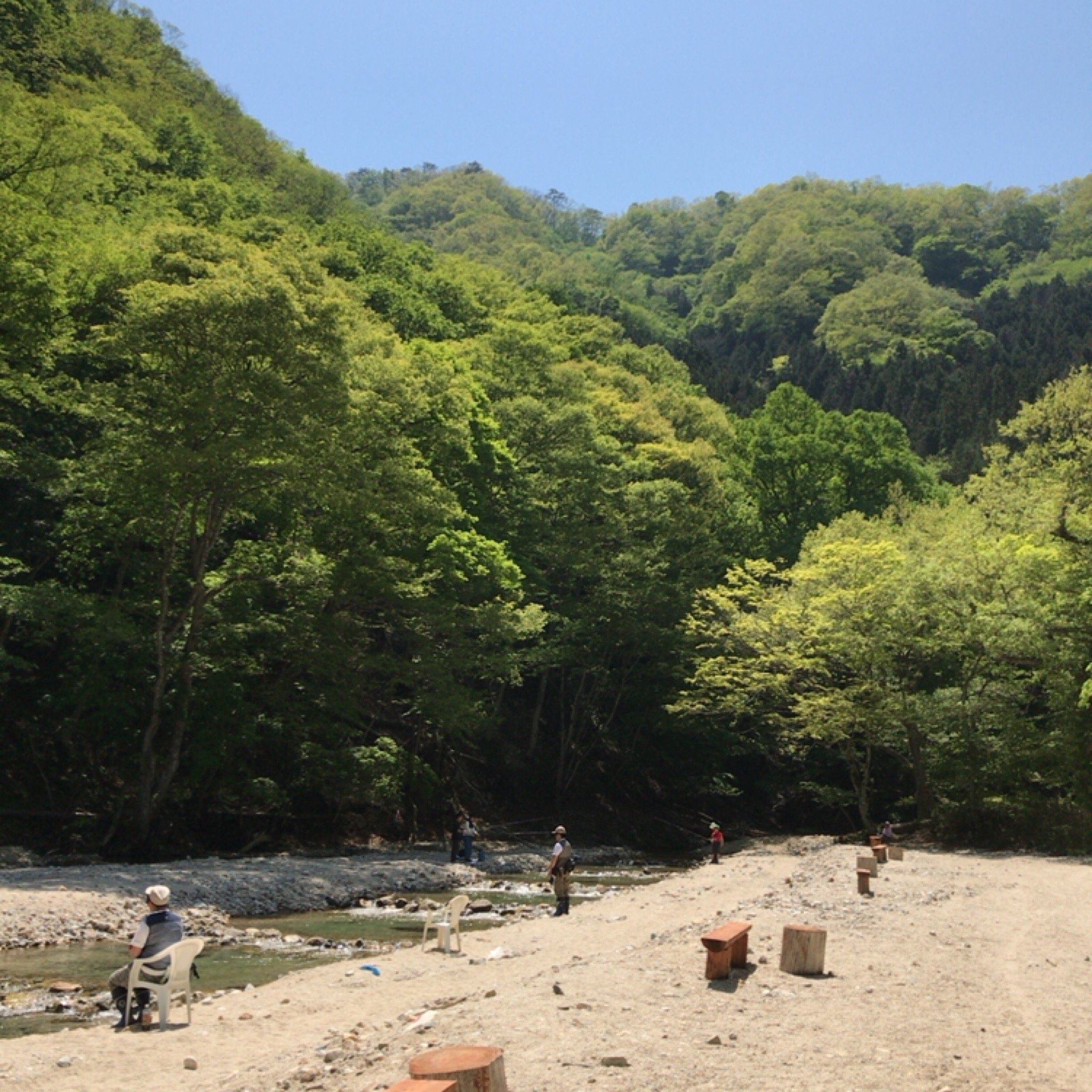 三 依 渓流 つり 場 販売 ペット