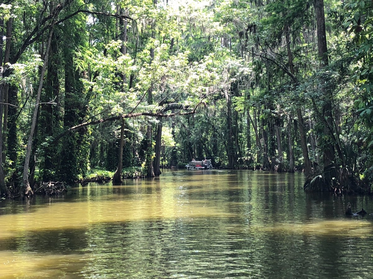 Mount Dora Boating Center & Marina - All You Need to Know BEFORE You Go