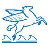 Pegasus-Cruises
