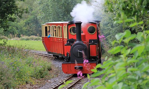 Duchess of Difflin Steam Train