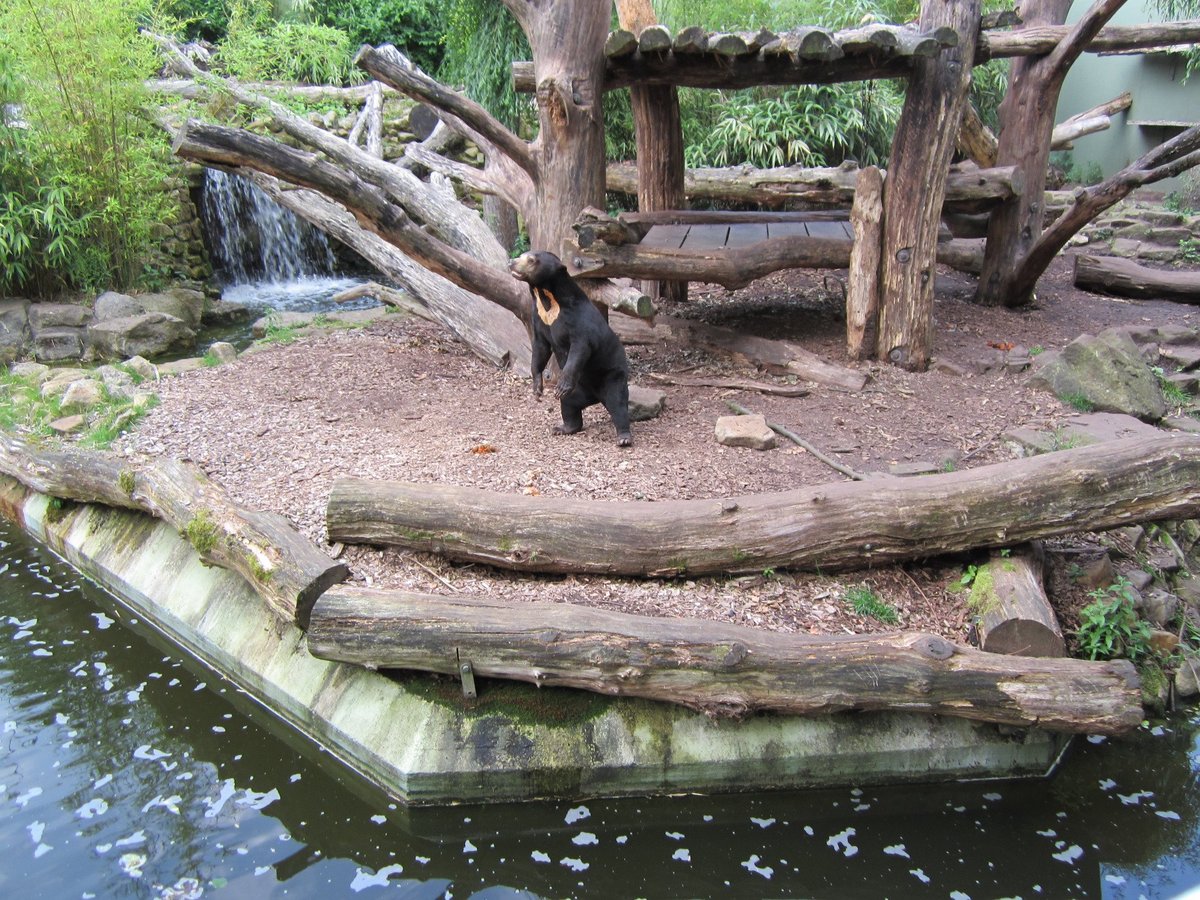 Local destination Allwetterzoo Münster in Münster 