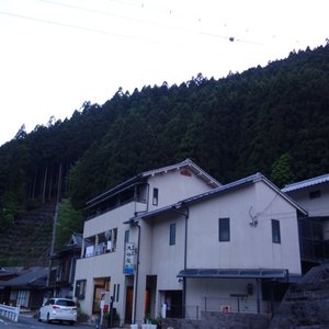 全景