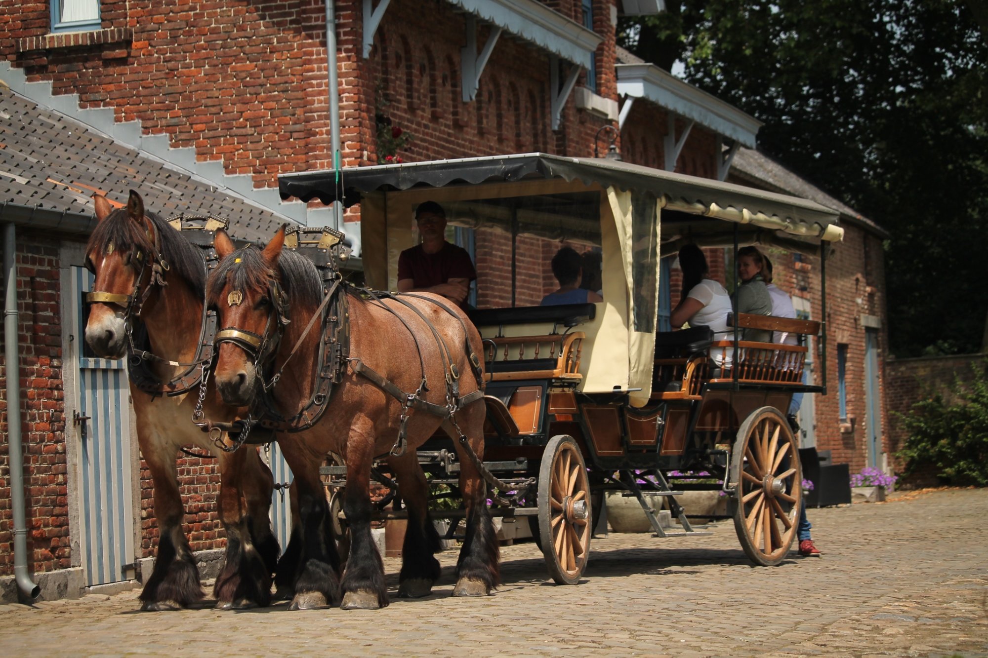 Kasteelhoeve de Tornaco image