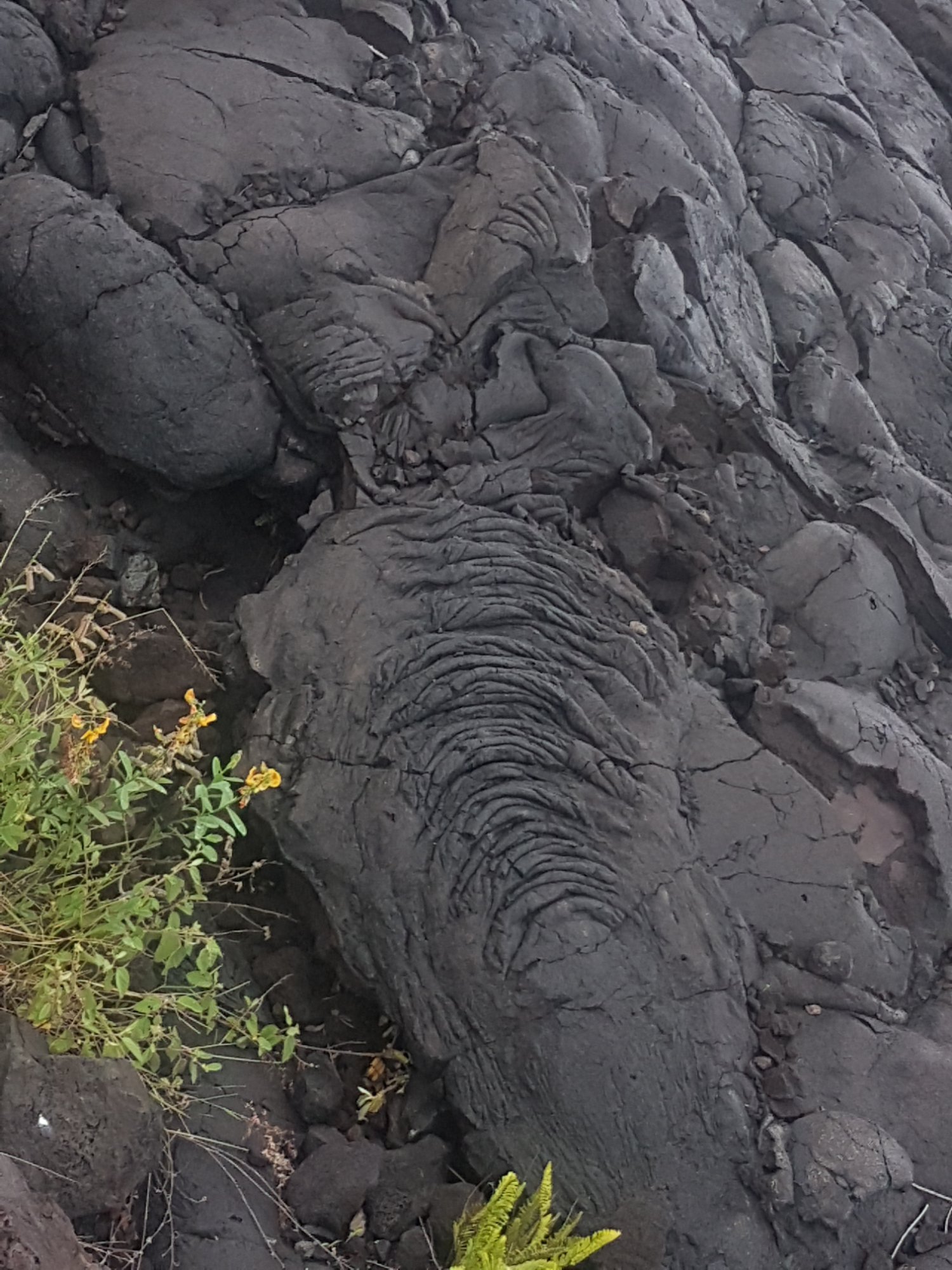 2024 Hawaii Volcanoes National Park Volcanoes National Park Small   Lava 2 