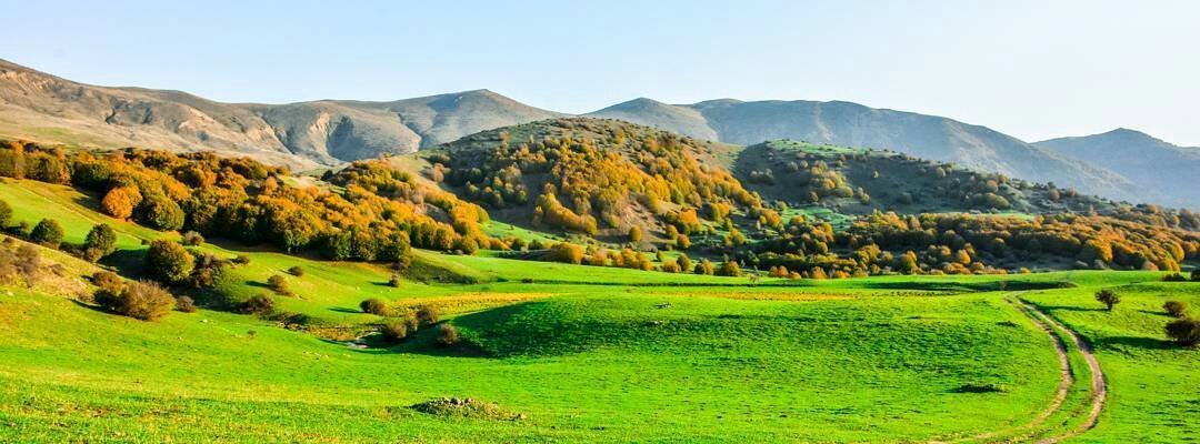 photographer: Alireza Nasri
عکاس: علیرضا نصری