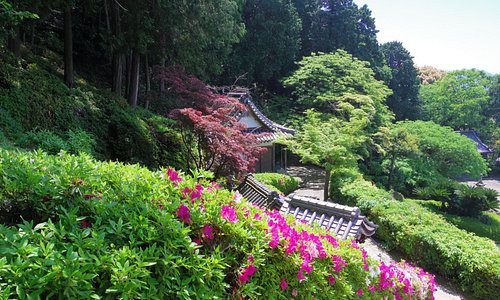 21年日本泉南市的旅游景点 旅游指南 行程 Tripadvisor