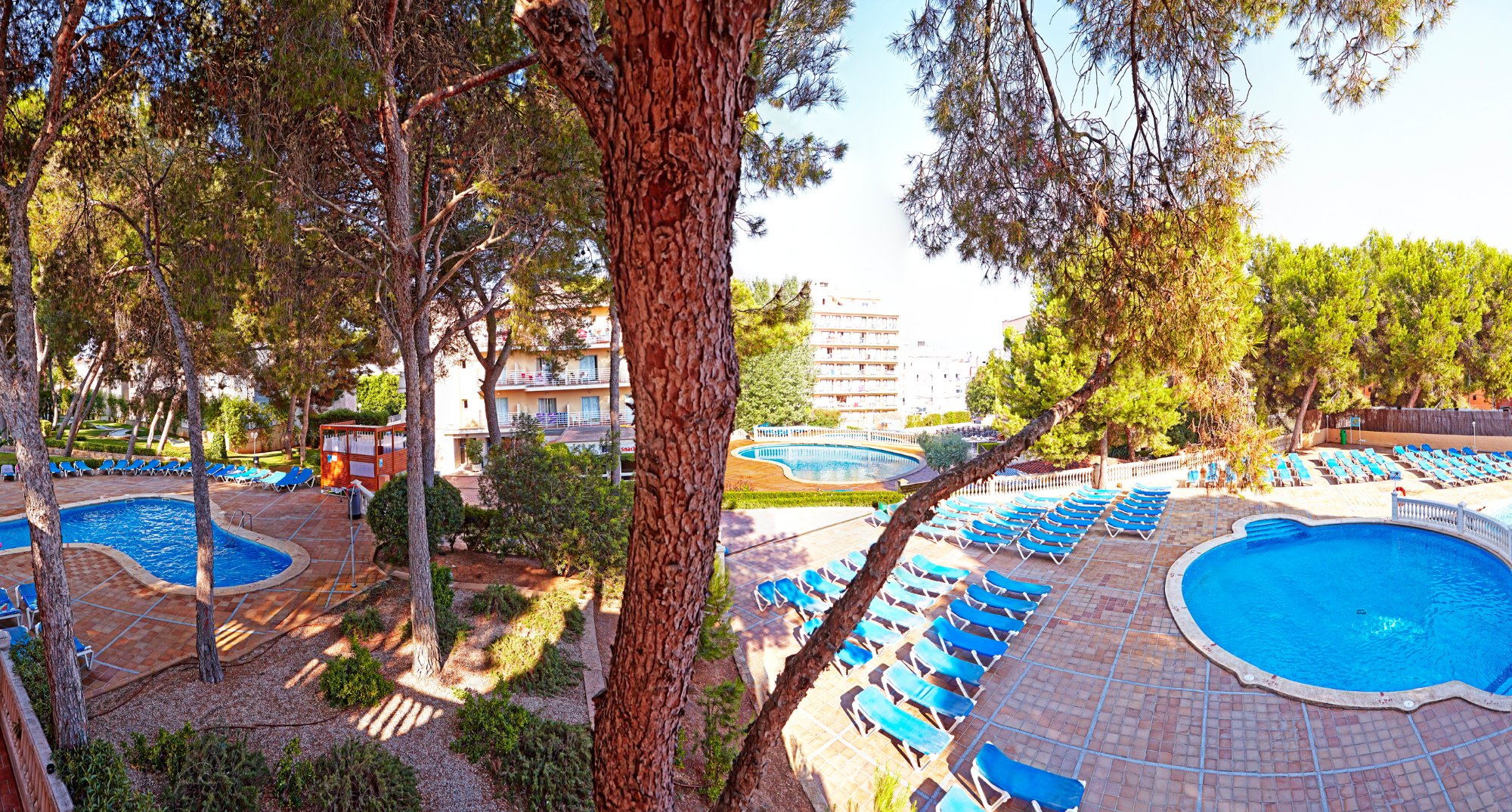 Hotel photo 27 of MLL Palma Bay Club Resort.