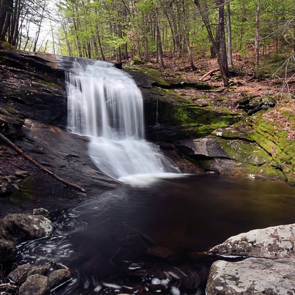 Chapel Brook (Ashfield) - All You Need to Know BEFORE You Go