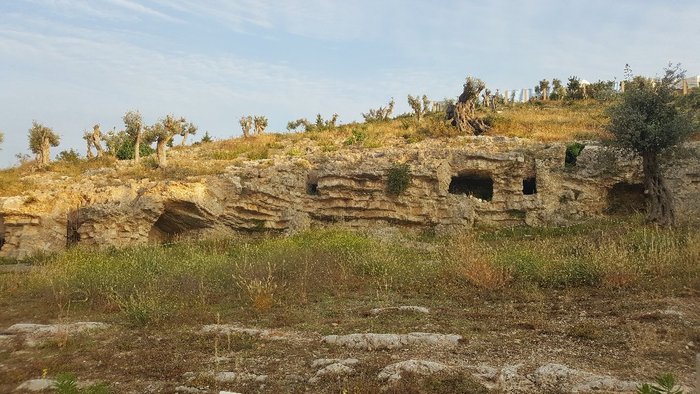 Imagen 5 de Necrópolis del Puig des Molins