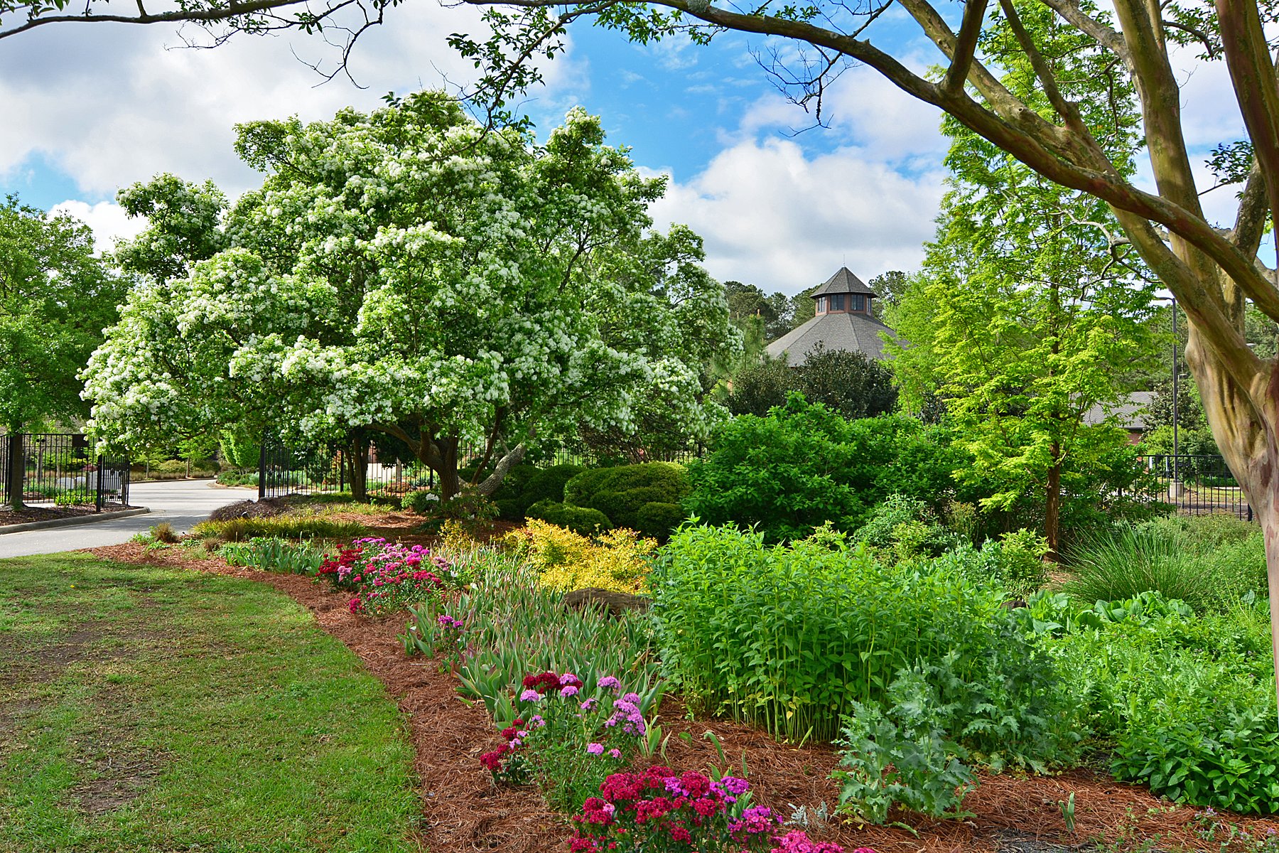 cape fear botanical garden prices