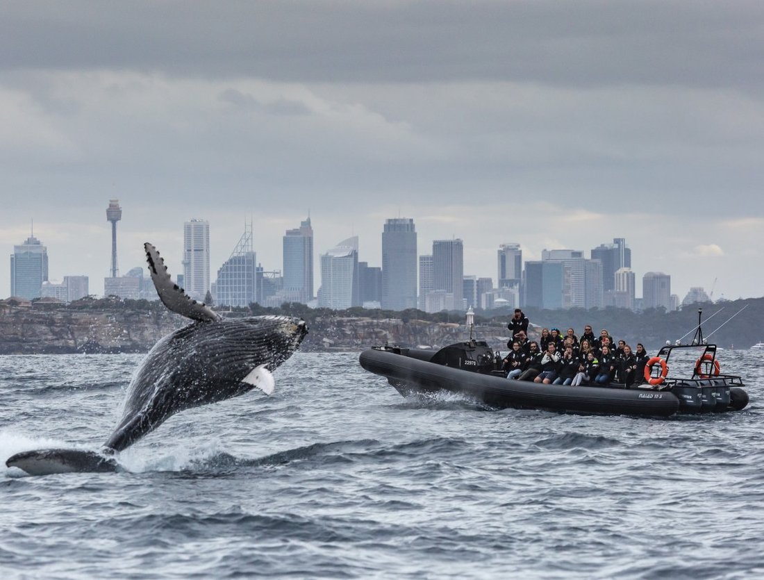 Ocean Extreme, Сидней: лучшие советы перед посещением - Tripadvisor