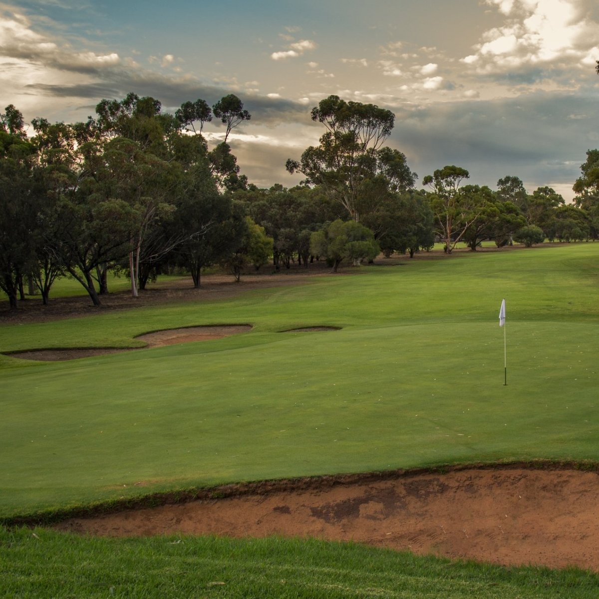 Murray Bridge Golf Club All You Need to Know BEFORE You Go