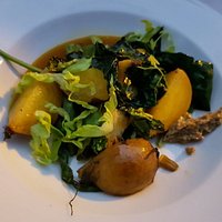 Capivara