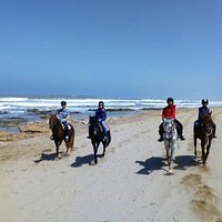 Balade sur la plage d'Essaouira