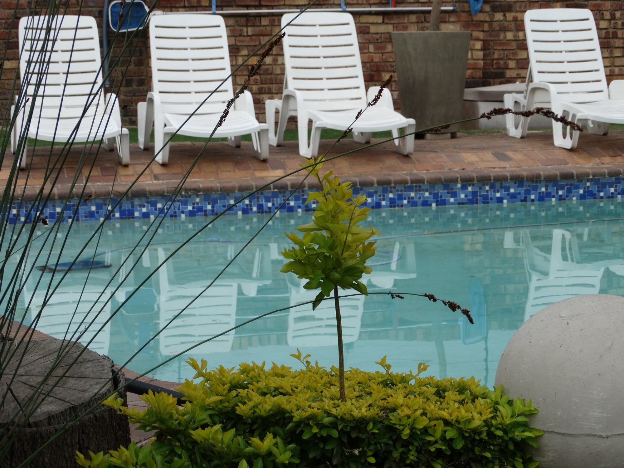 Hotel photo 19 of Klein Bosveld Guest House.