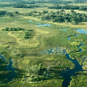 THE 15 BEST Things to Do in Botswana (2024) - Must-See Attractions