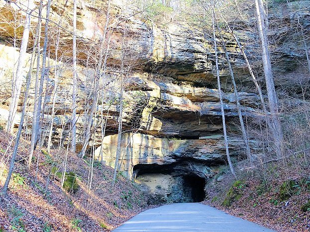 Daniel Boone National Forest image
