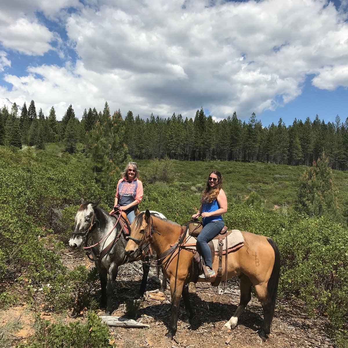 VS EQUINE (Mount Shasta) - All You Need to Know BEFORE You Go