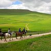 Things To Do in Horse Riding at Pippa's Paddock, Restaurants in Horse Riding at Pippa's Paddock