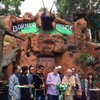 Borneo Ant House