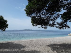 Viajante