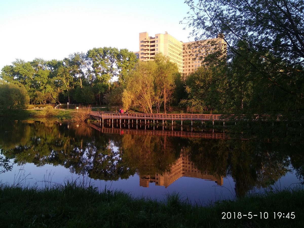 Джамгаровский пруд, Москва: лучшие советы перед посещением - Tripadvisor