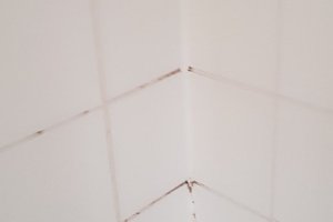 المسافر