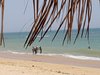 sdiallo1