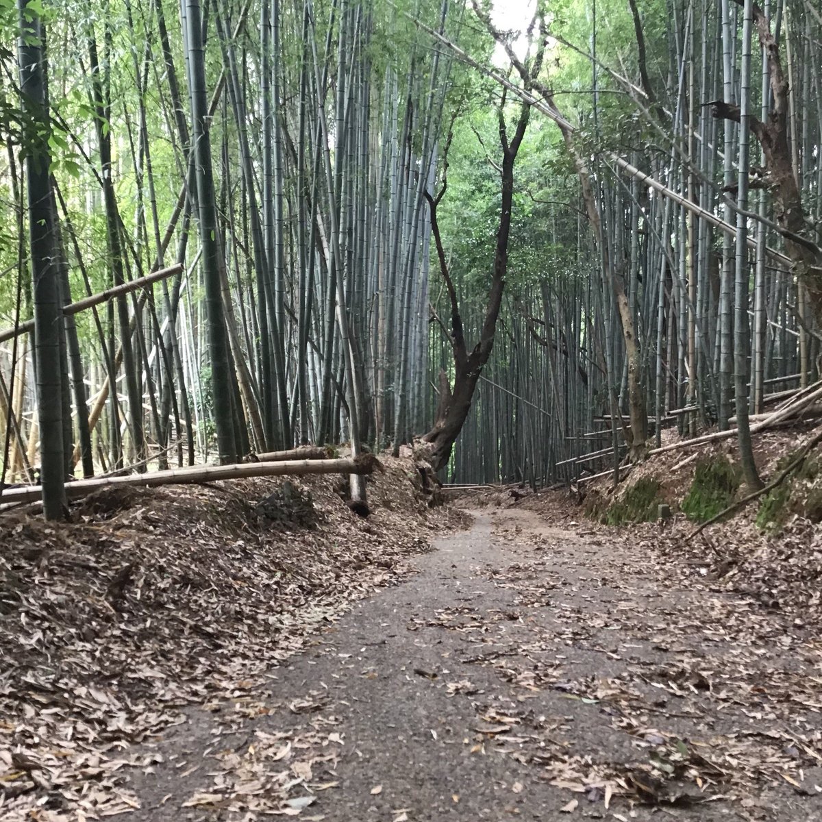 22年 高積山 和佐山 行く前に 見どころをチェック トリップアドバイザー