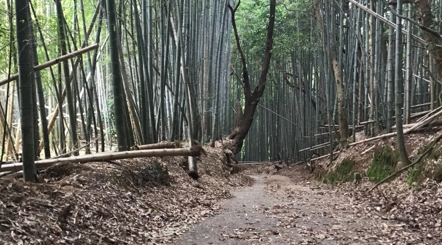 高積山(和佐山)