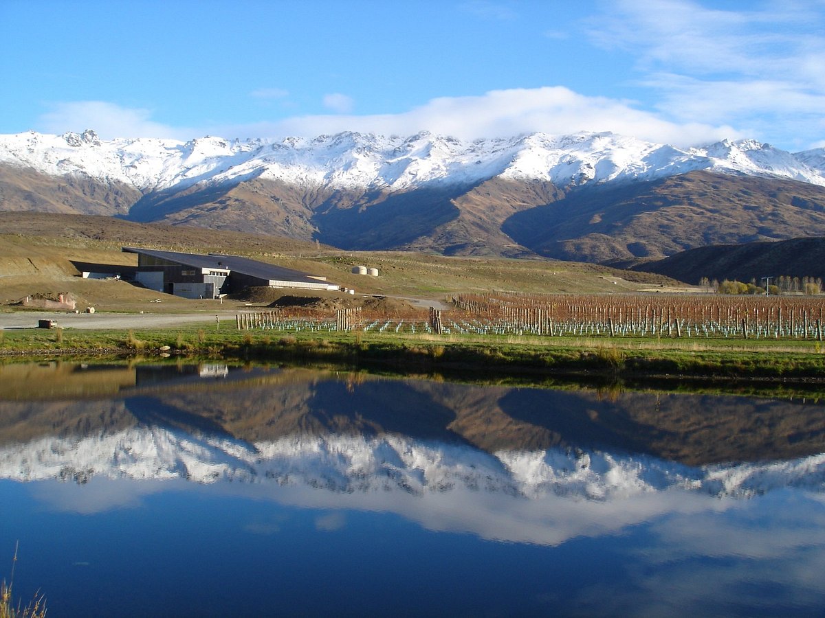 winery tours from queenstown