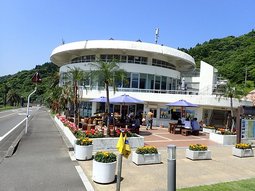 宮崎県で雨の日に楽しめるイチ押しの屋内観光スポット10 選 トリップアドバイザー