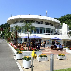 宮崎市で雨の日に楽しめるイチ押しの屋内観光スポット5 選 トリップアドバイザー