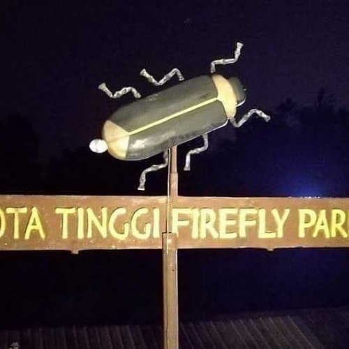 Kota tinggi firefly park