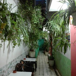 La entrada del hostel: como en plena naturaleza!