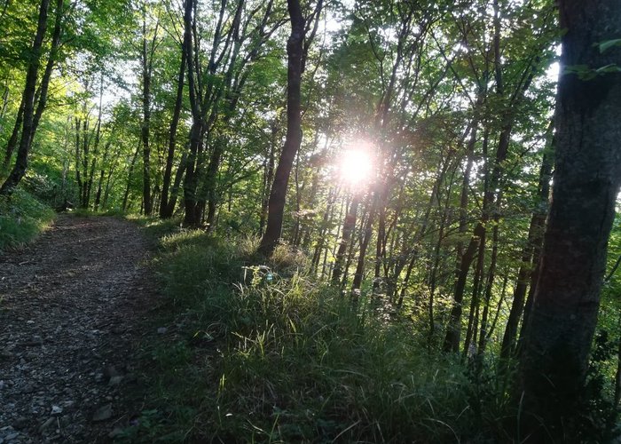 Oasi Naturalistica di Frassineto