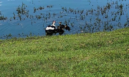 Jennings 2020 Best Of Jennings Fl Tourism Tripadvisor