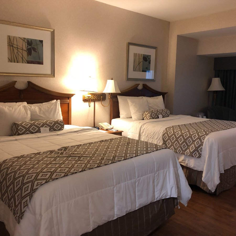 Clayton Plaza Hotel 105 ̶2̶4̶0̶ Updated 2021 Prices And Reviews