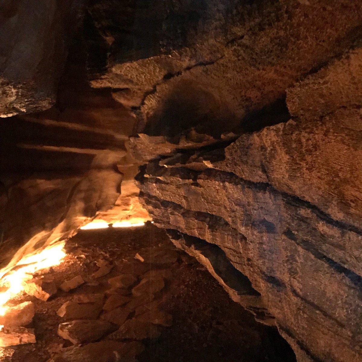 Exploring our Cave : r/homestead