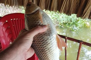 Khách du lịch
