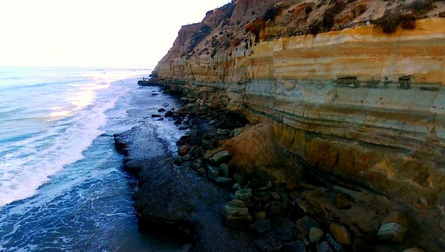 Dog Beach