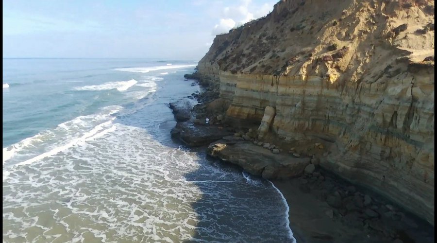 Dog Beach