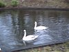 sylviapark