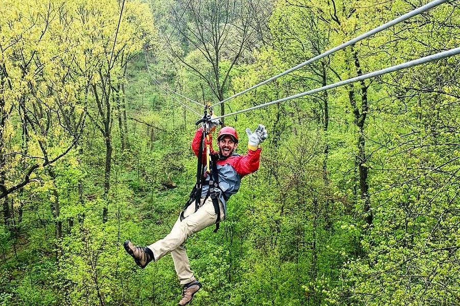 Long Hollow Canopy Tours image