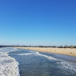 Seal Beach National Wildlife Refuge - All You Need to Know BEFORE You ...