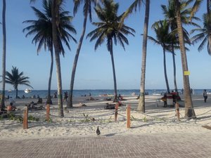 Piscina y playa